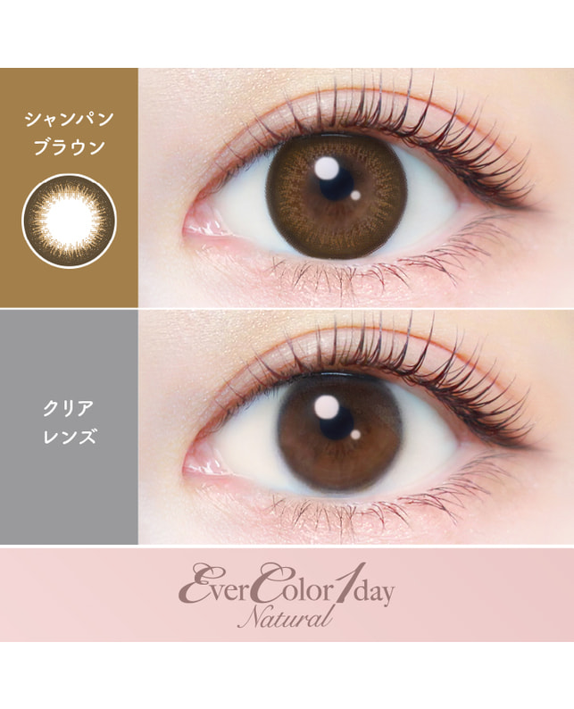 Ever Color 【エバーカラーワンデーナチュラル】シャンパンブラウン 20枚入り 乱視なし