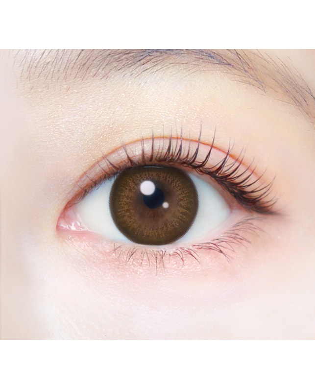 Ever Color 【エバーカラーワンデーナチュラル】シャンパンブラウン 20枚入り 乱視なし