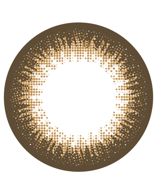 Ever Color 【エバーカラーワンデーナチュラル】シャンパンブラウン 20枚入り 乱視なし