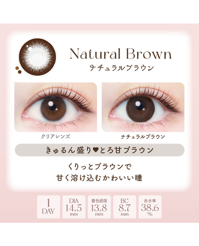 Ever Color 【エバーカラーワンデーナチュラル】ナチュラルブラウン 20枚入り 乱視なし