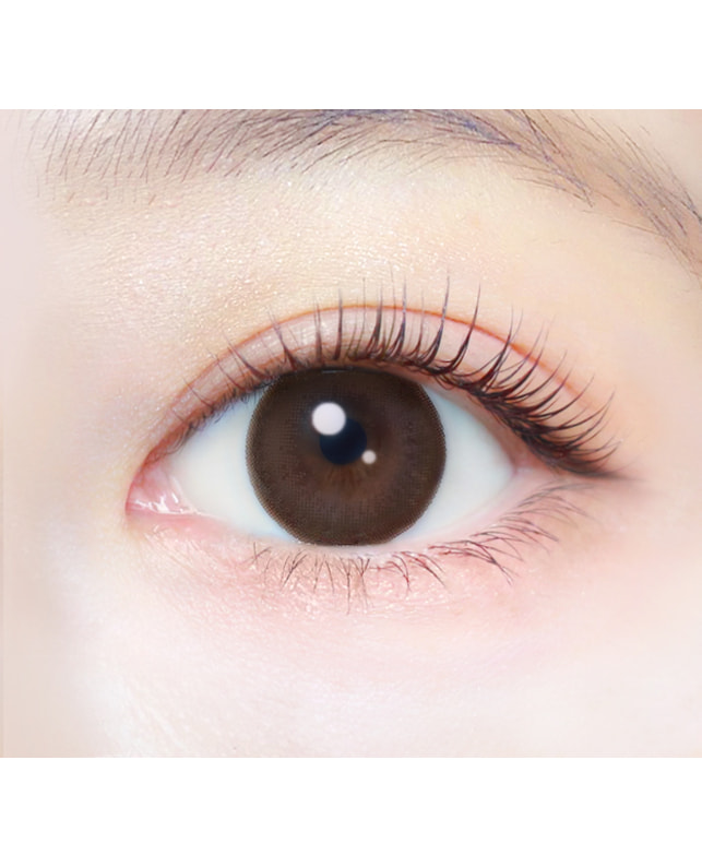 Ever Color 【エバーカラーワンデーナチュラル】ナチュラルブラウン 20枚入り 乱視なし