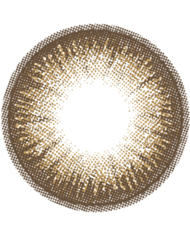 FLANMY 【フランミー FLANMY ワンデー】ダークモカ 10枚入り ±0.00