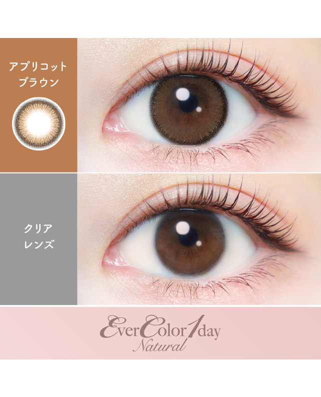 Ever Color 【エバーカラーワンデーナチュラル】アプリコットブラウン 20枚入り 乱視なし