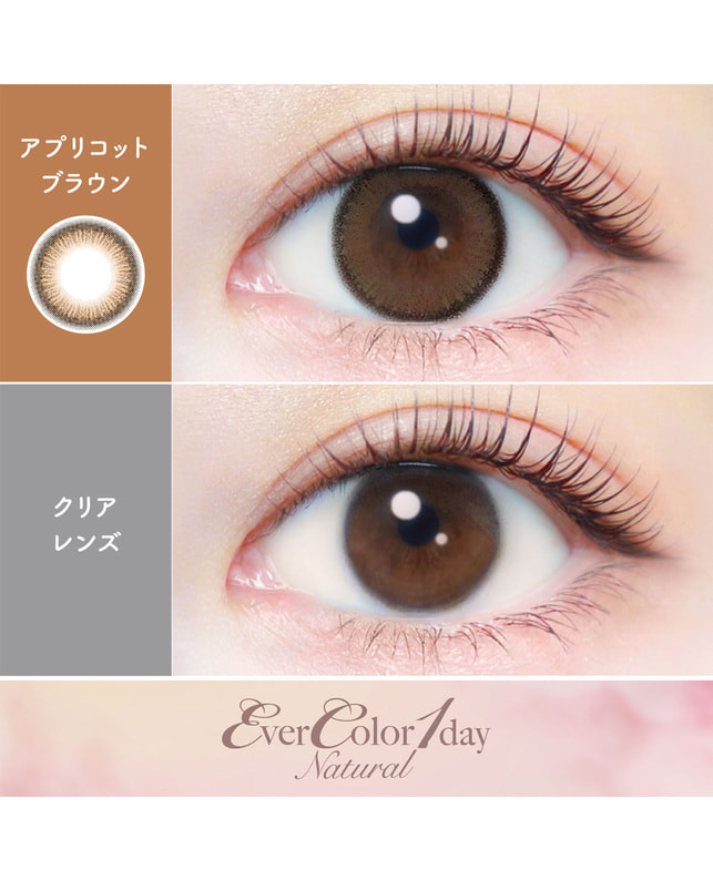 Ever Color 【エバーカラーワンデーナチュラル】アプリコットブラウン 20枚入り 乱視なし