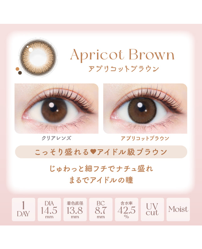 Ever Color 【エバーカラーワンデーナチュラル】アプリコットブラウン 20枚入り 乱視なし