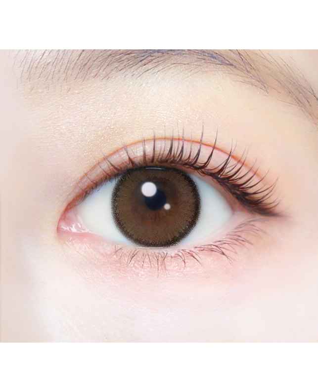 Ever Color 【エバーカラーワンデーナチュラル】アプリコットブラウン 20枚入り 乱視なし