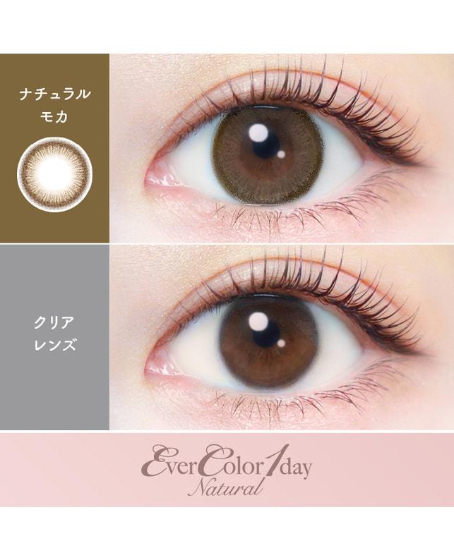 Ever Color 【エバーカラーワンデーナチュラル】ナチュラルモカ 20枚入り 乱視なし