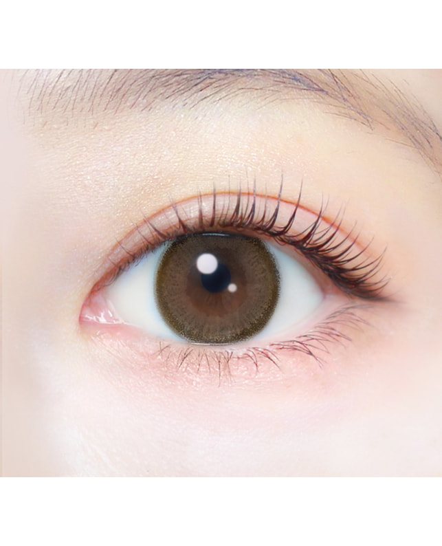 Ever Color 【エバーカラーワンデーナチュラル】ナチュラルモカ 20枚入り 乱視なし