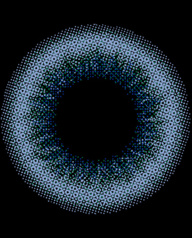 FLANMY 【フランミー FLANMY ワンデー】サクラロール 10枚入り ±0.00