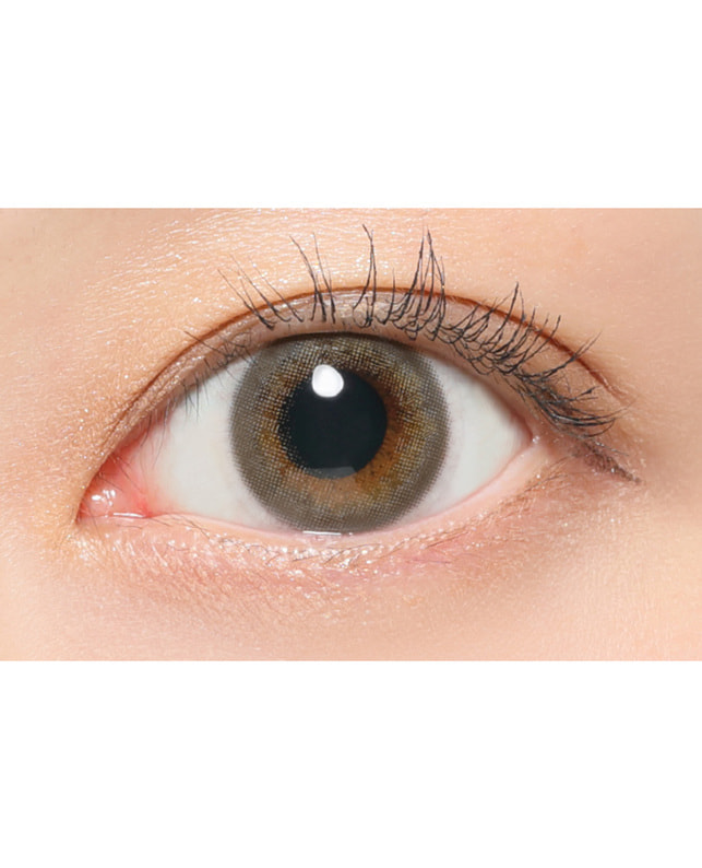 ReVIA 【ReVIA 1day COLOR】 ミストアイリス 10枚入 ±0.00