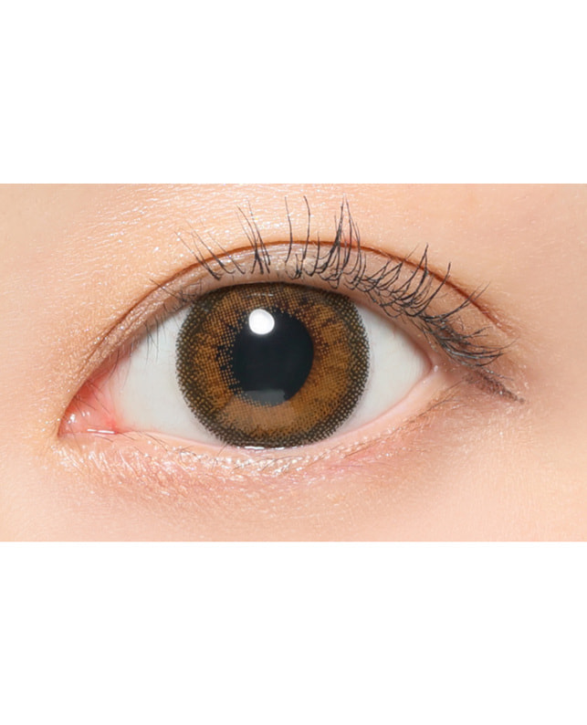 ReVIA 【ReVIA 1day COLOR】 プラリネブラン 10枚入 ±0.00