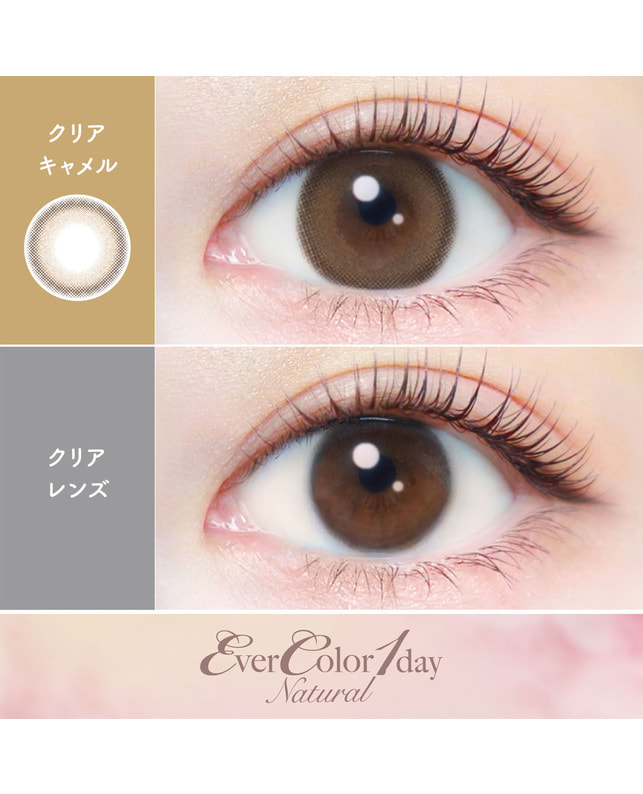 Ever Color 【エバーカラーワンデーナチュラル】クリアキャメル 20枚入り 乱視なし