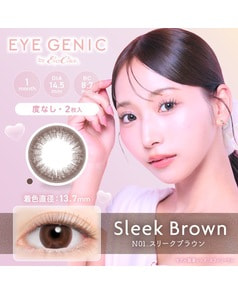 【アイジェニック マンスリー】スリークブラウン（2枚入り / 度なし / 1ヶ月）