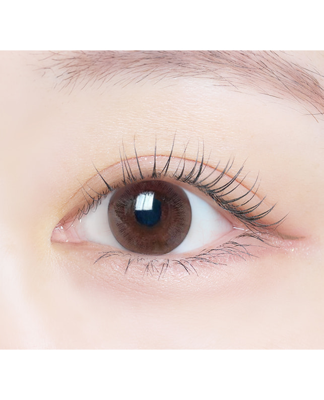 eRouge 【エルージュ 2week】スムースブラウン（6枚入り / 2週間） 乱視なし