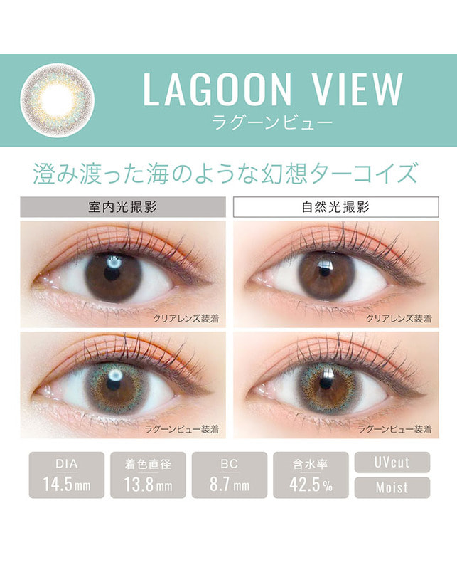 Ever Color 【エバーカラーワンデールクアージュ】ラグーンビュー 10枚入り 乱視なし