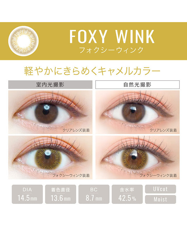 Ever Color 【エバーカラーワンデールクアージュ】フォクシーウィンク 10枚入り 乱視なし