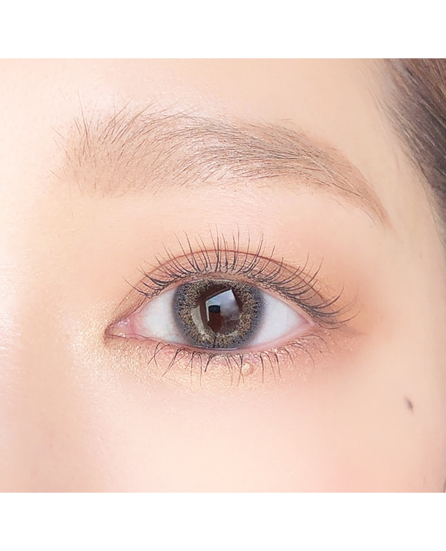 Ever Color 【エバーカラーワンデールクアージュ】ミスティアッシュ 10枚入り 乱視なし