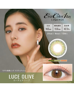 【エバーカラーワンデールクアージュ】ルーチェオリーブ 10枚入り
