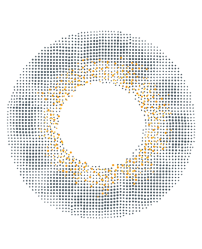 AngelColor 【エンジェルカラーバンビ ヴィンテージ ワンデー】ヴィンテージ グレー 10枚入 ±0.00