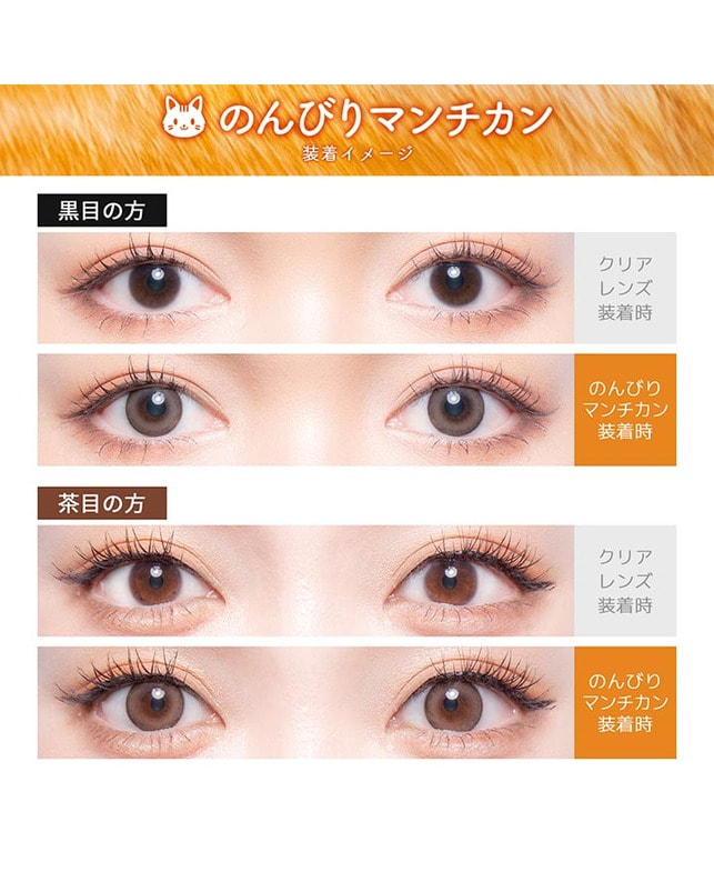 Flurry 【フルーリー Flurry 1day】のんびりマンチカン 10枚入 ±0.00