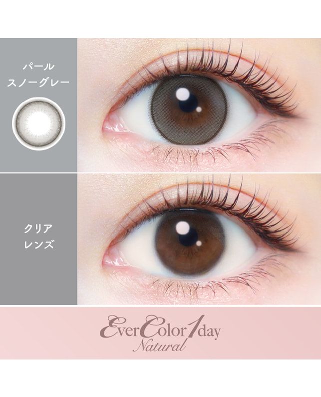 Ever Color 【エバーカラーワンデーナチュラル】パールスノーグレー 20枚入り 乱視なし