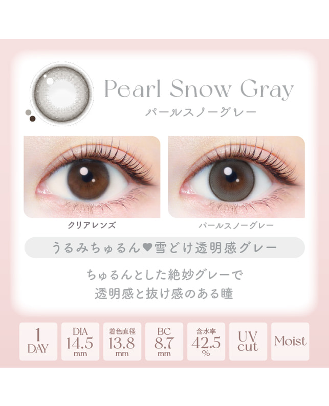 Ever Color 【エバーカラーワンデーナチュラル】パールスノーグレー 20枚入り 乱視なし