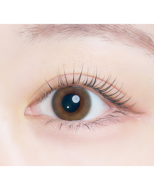 Kaica 【カイカ Kaica ワンデー】透花ヴェール 10枚入り 乱視なし