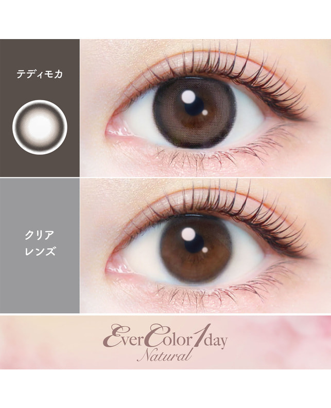 Ever Color 【エバーカラーワンデーナチュラル】テディモカ 20枚入り ±0.00