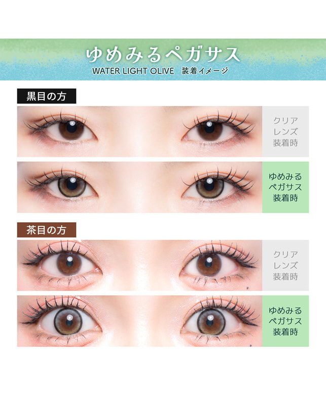Flurry 【フルーリー Flurry 1day】ゆめみるペガサス 10枚入 ±0.00