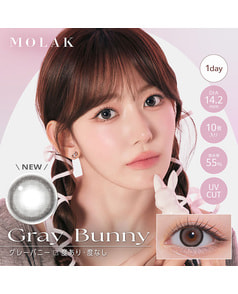【MOLAK 1day】グレーバニー 10枚入り