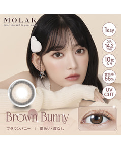 【MOLAK 1day】ブラウンバニー 10枚入り