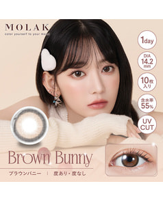 【MOLAK 1day】ブラウンバニー 10枚入り