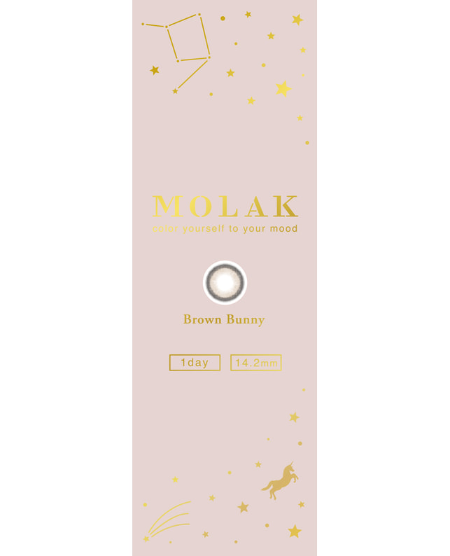 MOLAK 【MOLAK 1day】ブラウンバニー 10枚入り ±0.00