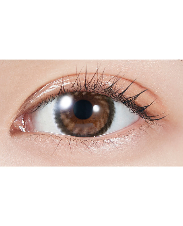 MOLAK 【MOLAK 1day】ブラウンバニー 10枚入り ±0.00