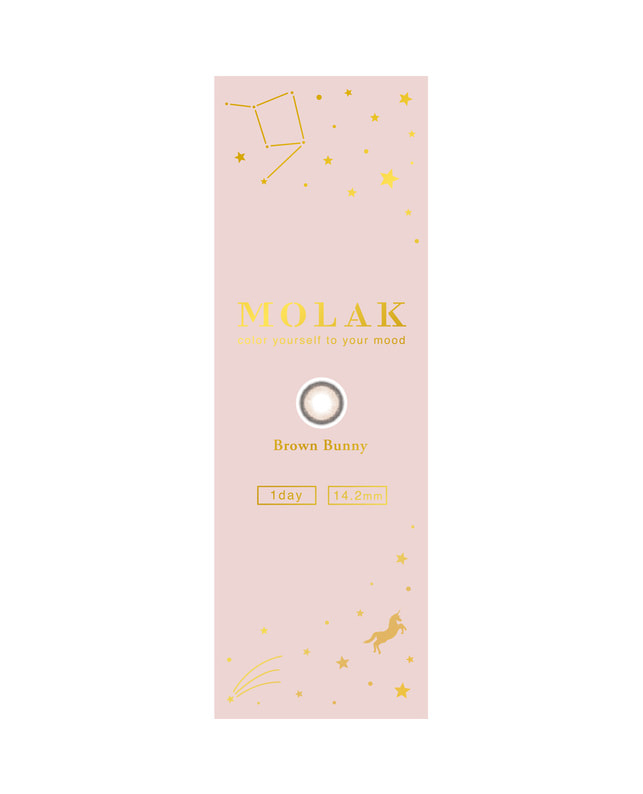 MOLAK 【MOLAK 1day】ブラウンバニー 10枚入り ±0.00